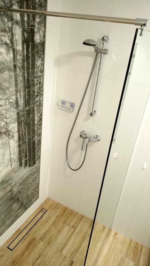 Apartment 4 Przy Parku Lesnym *