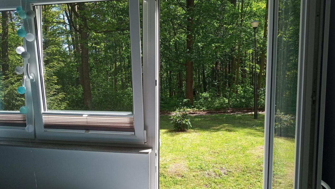 4 Przy Parku Lesnym Apartment *